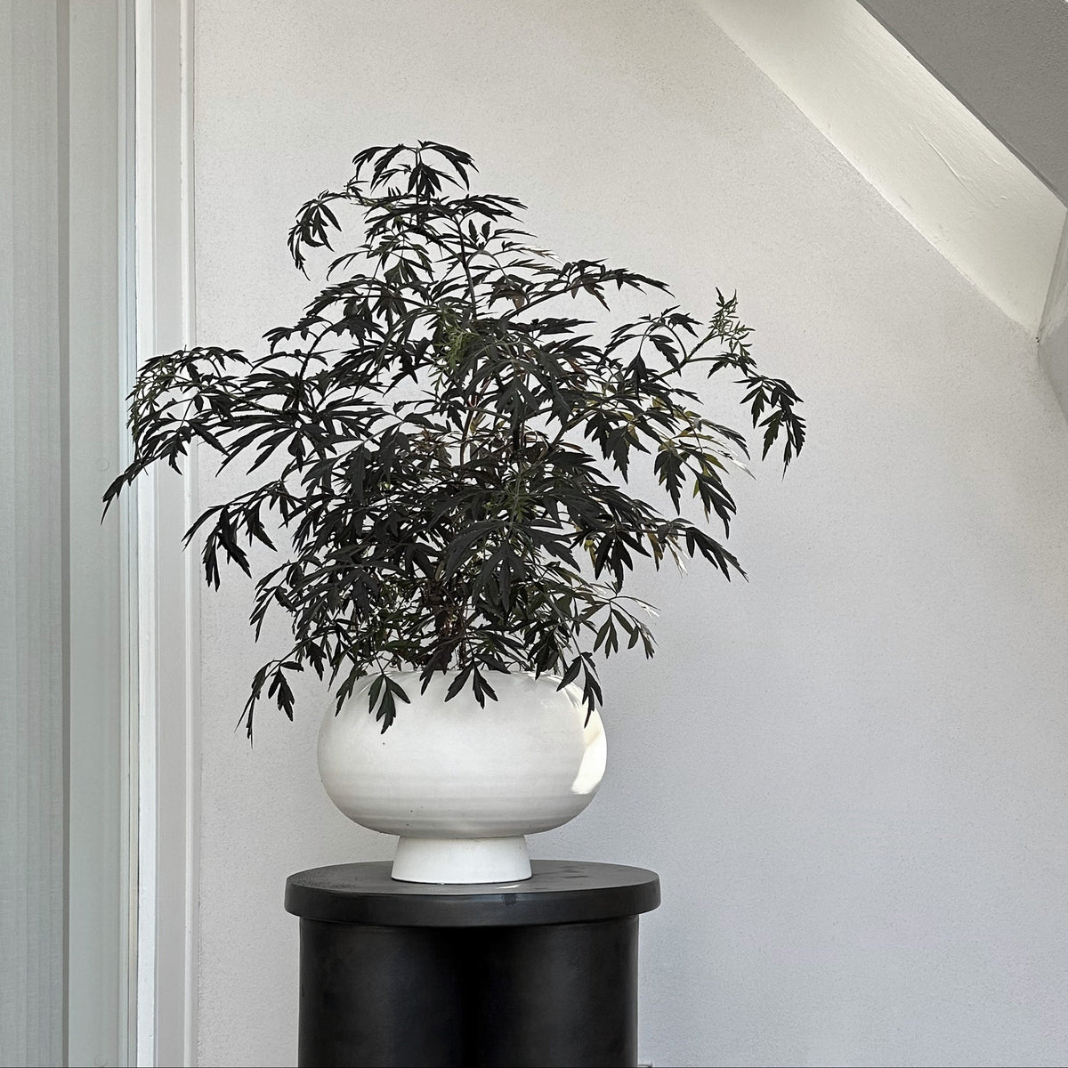 Fat Kabin Vase