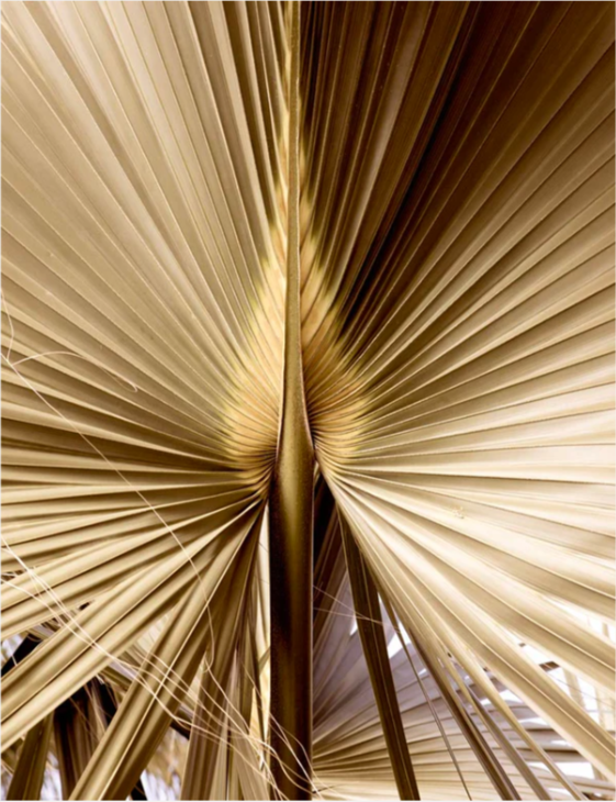 Antigua 02