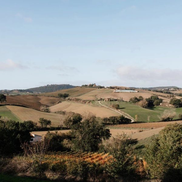 Hills of Tuscany Framed Print