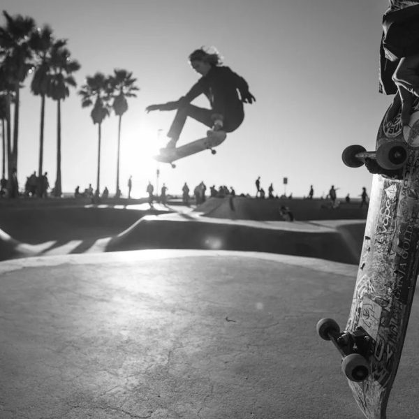 venice-skate-bowl